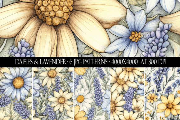 Daisies and Lavender Seamless Patterns